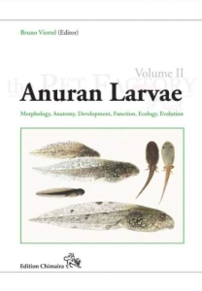 Anuran Larvae 2